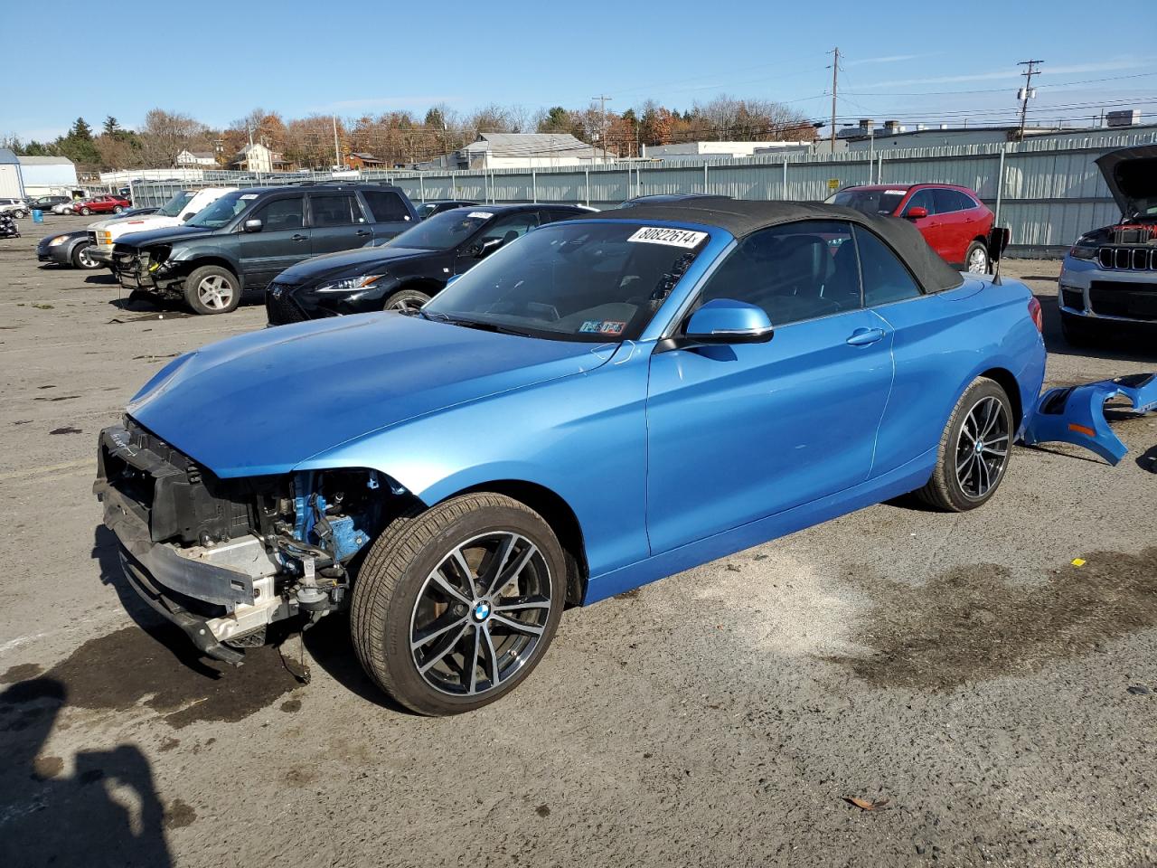2020 BMW 2er VIN WBA2K1C01L7D97038