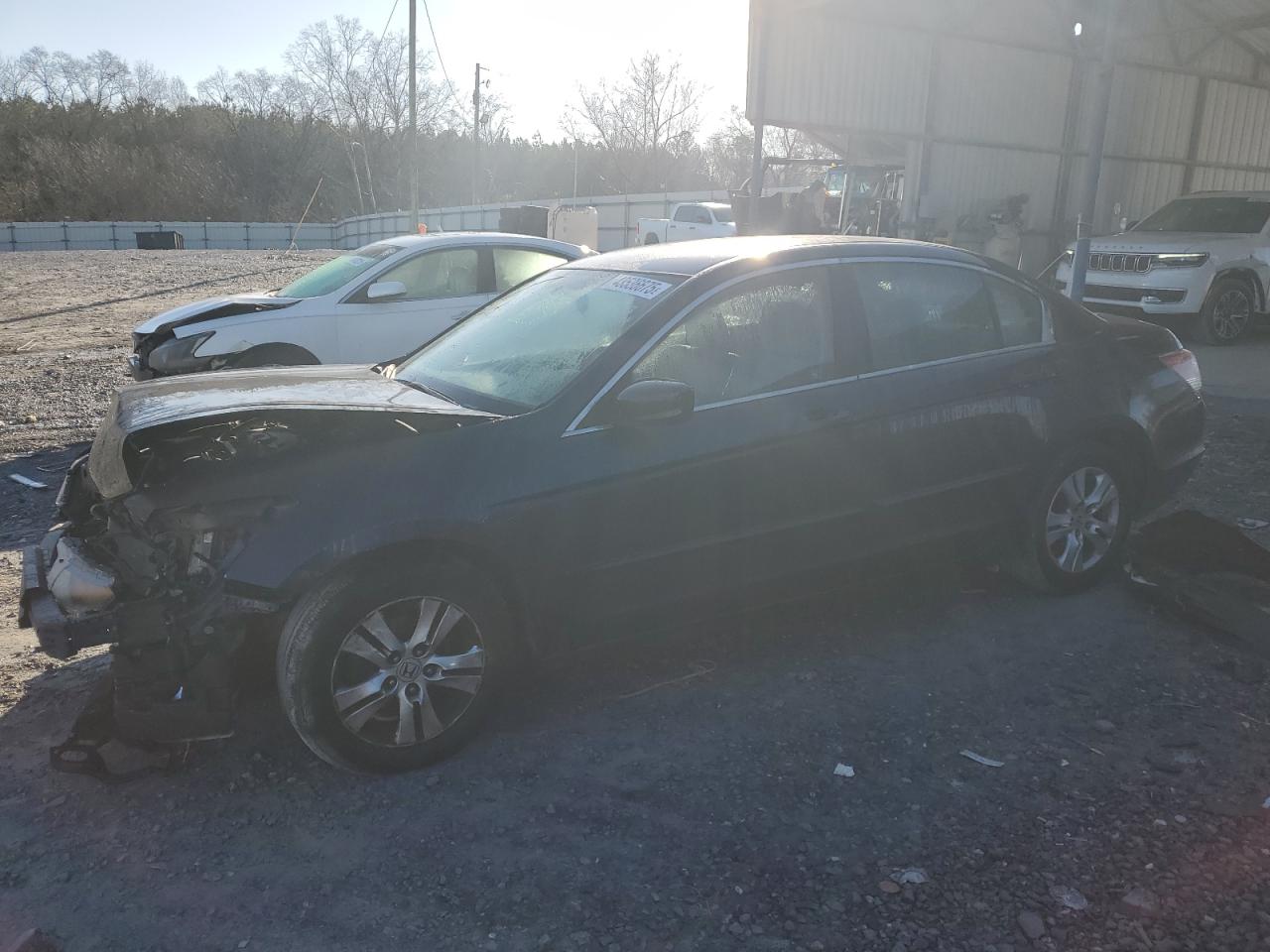 2010 Honda Accord VIN 1HGCP2F4XAA150676