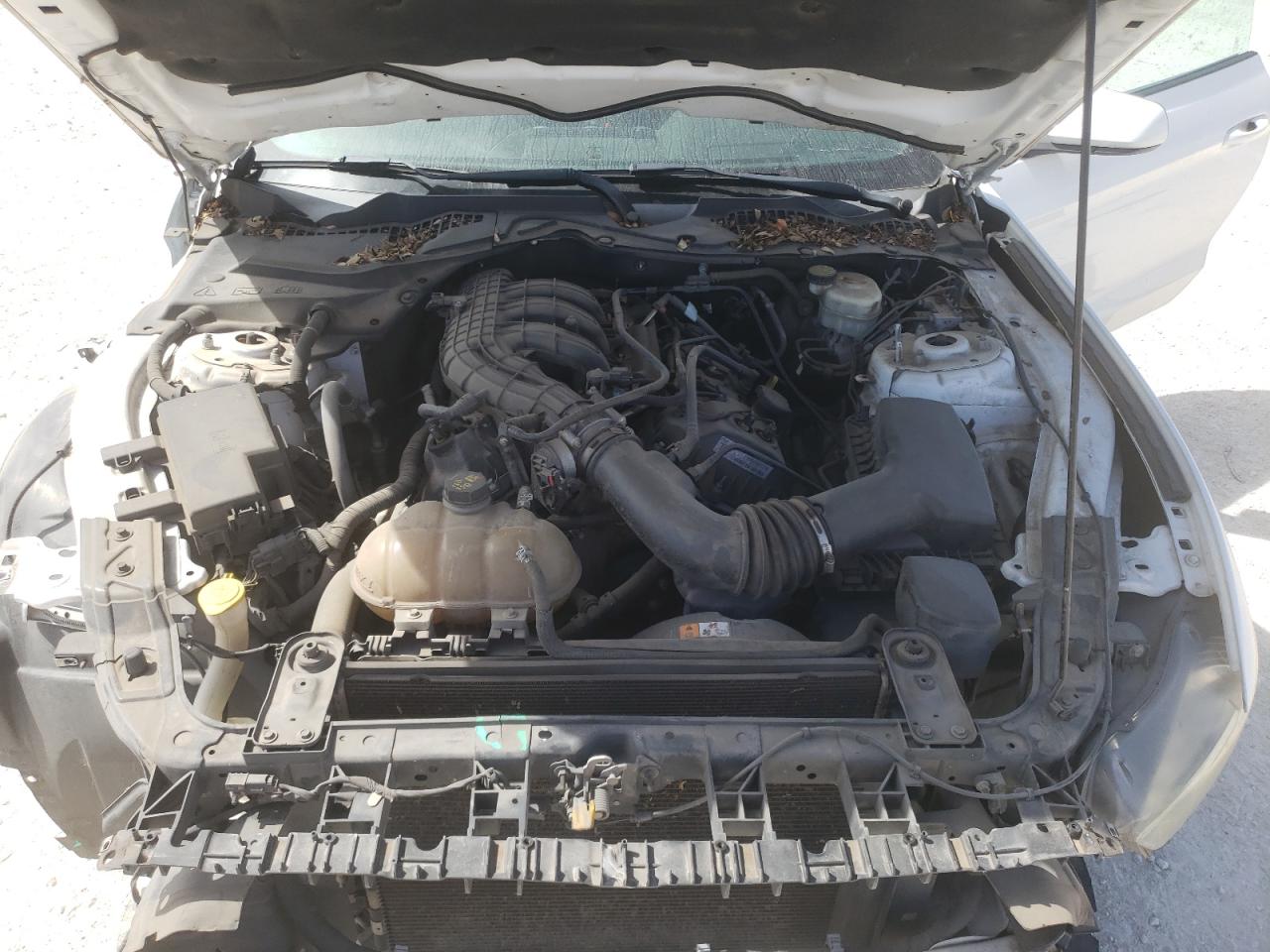 2015 Ford Mustang VIN 1FA6P8AM8F5369406 Copart auction photo, front end / side damage thumbnail 11