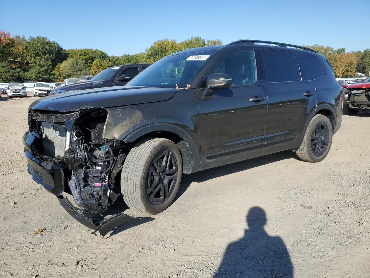 2024 KIA Telluride VIN 5XYP3DGC9RG512859