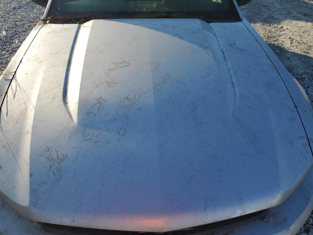 2010 Ford Mustang VIN 1ZVBP8AN3A5126156 Copart auction photo, mechanical / water/flood damage thumbnail 11