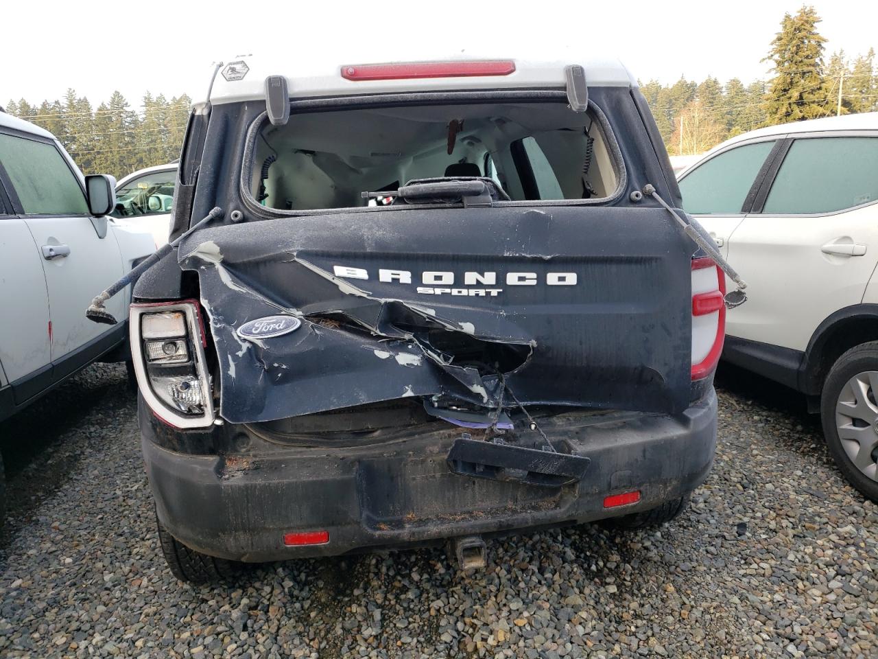2023 Ford Bronco VIN 3FMCR9G60PRD08695 Copart auction photo, all over damage thumbnail 6