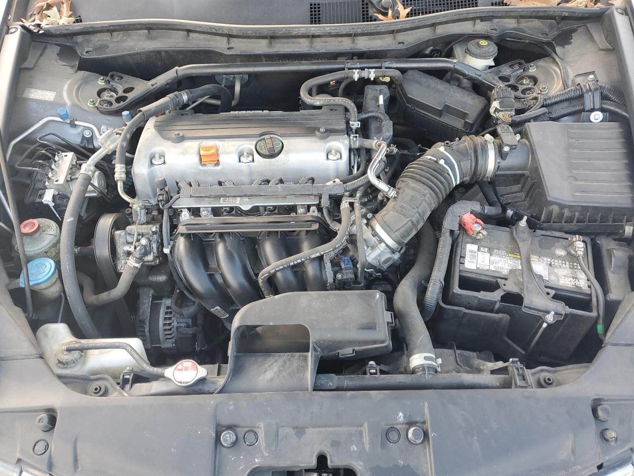 2010 Honda Accord VIN 1HGCP2F81AA124325 Copart auction photo, side damage thumbnail 12