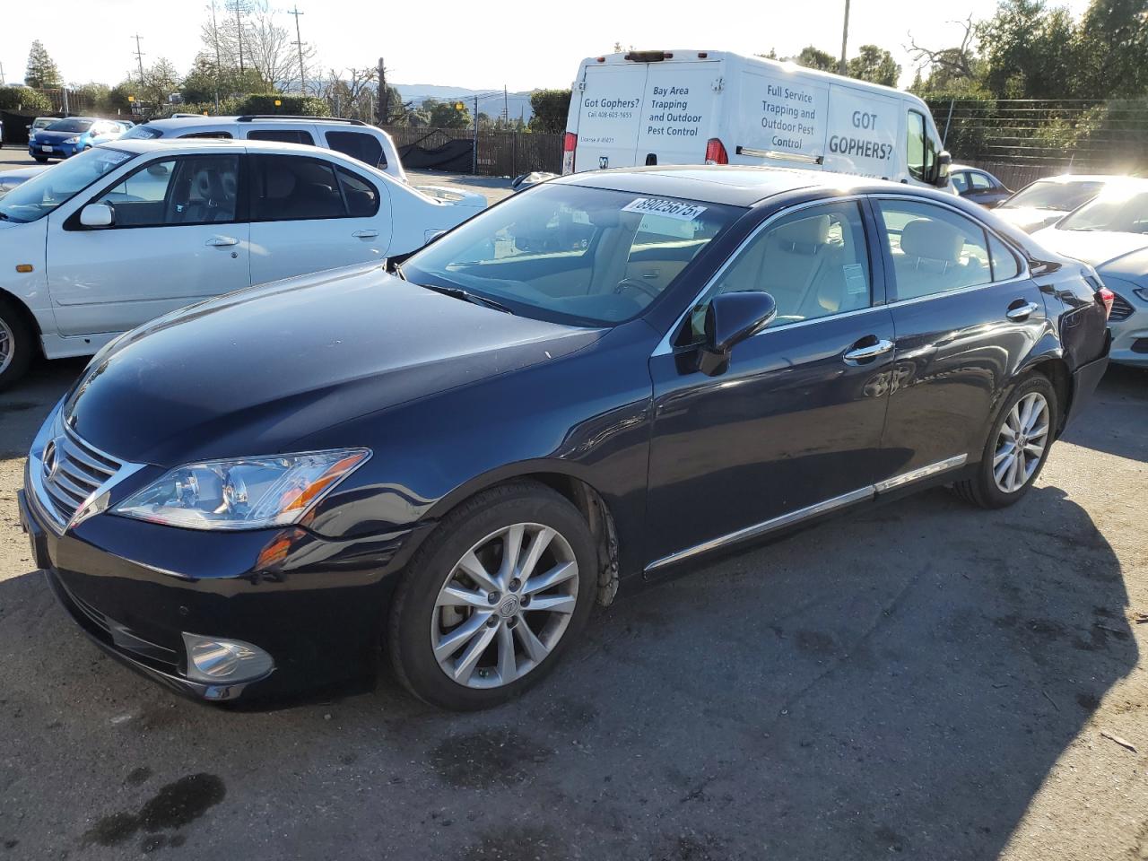 2010 Lexus ES VIN JTHBK1EGXA2389636