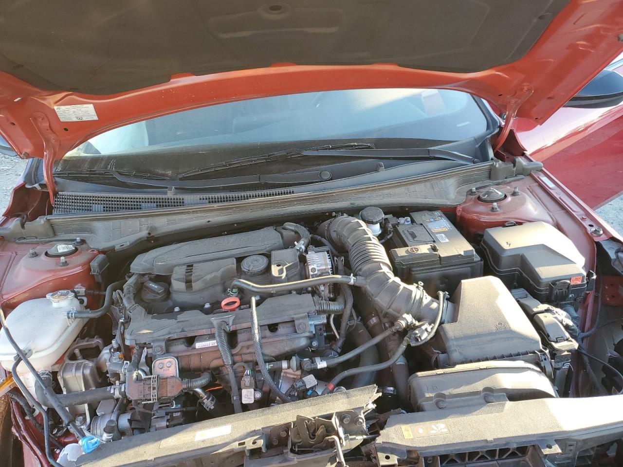 2023 Hyundai Elantra VIN KMHLR4AF1PU427716 Copart auction photo, front end / undercarriage damage thumbnail 11