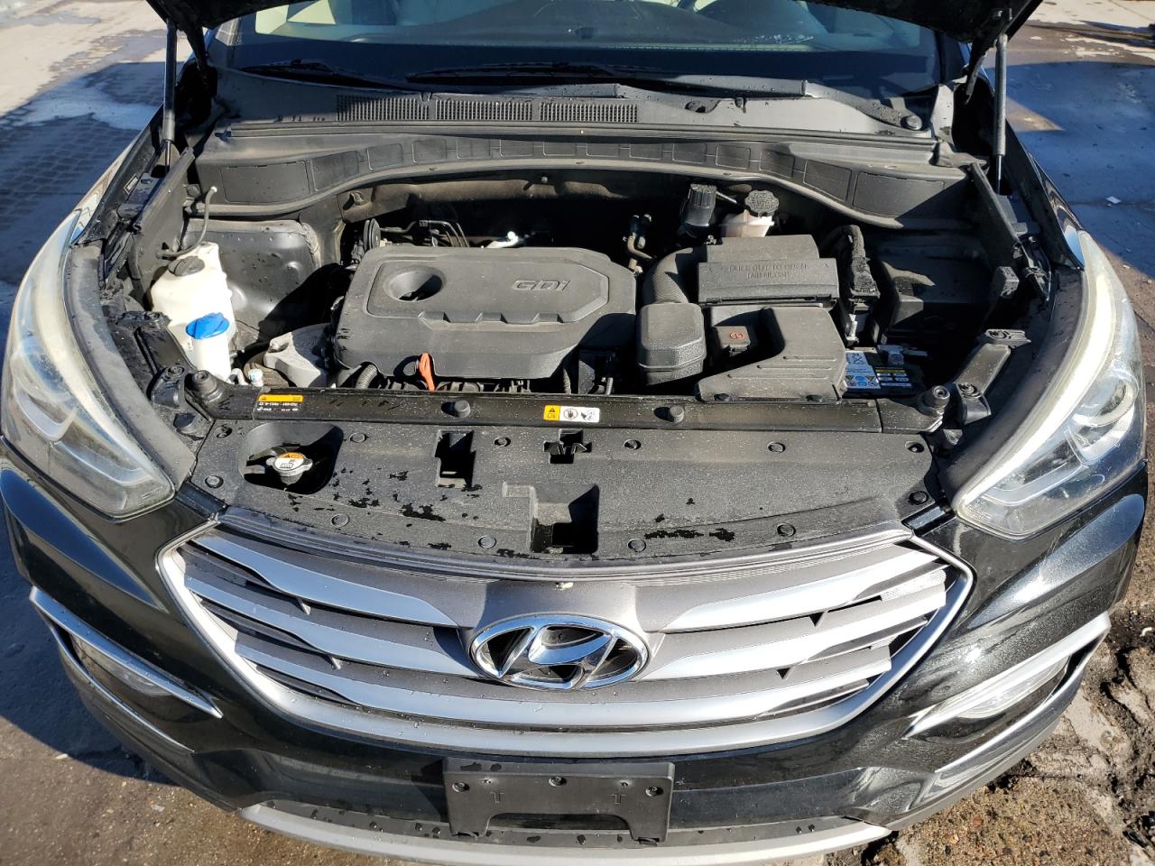 2017 Hyundai Santa Fe VIN 5NMZU3LB9HH005185 Copart auction photo, vandalism / side damage thumbnail 12