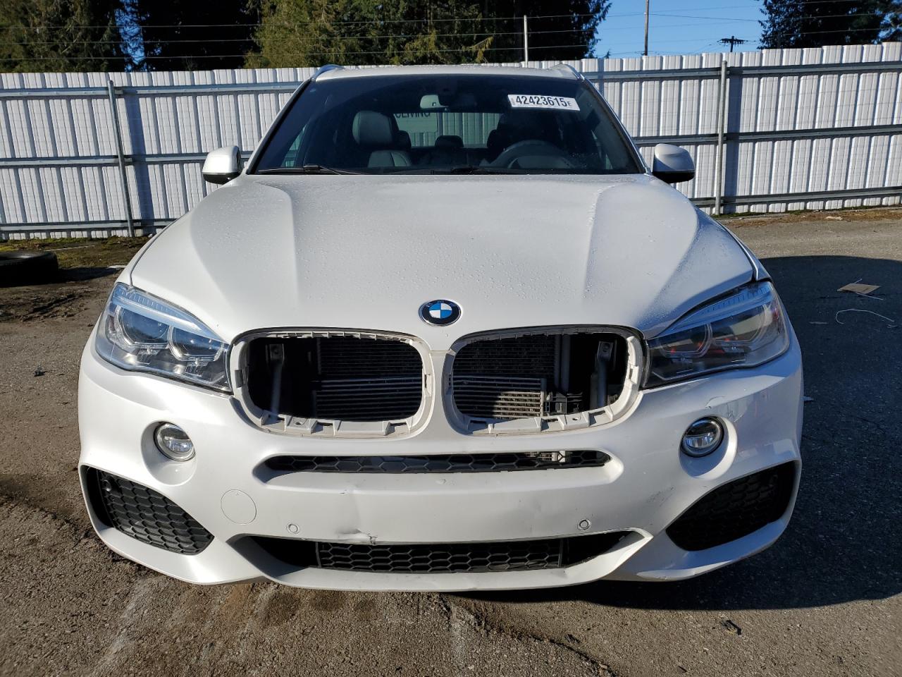 2017 BMW X5 VIN 5UXKT0C50H0S79984 Copart auction photo, front end damage thumbnail 5