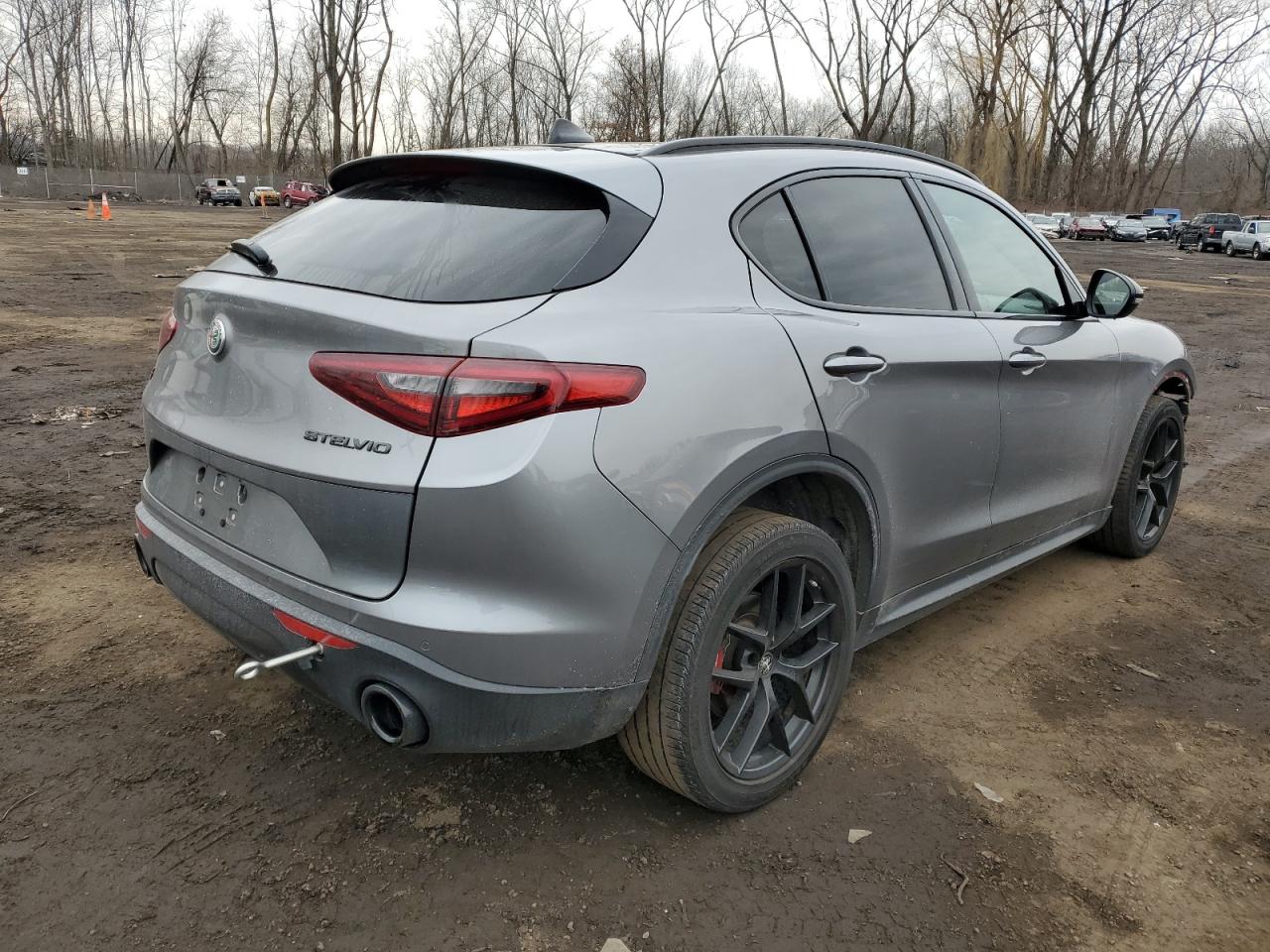 2020 Alfa Romeo Stelvio VIN ZASPAKAN6L7C95545 Copart auction photo, front end damage thumbnail 3
