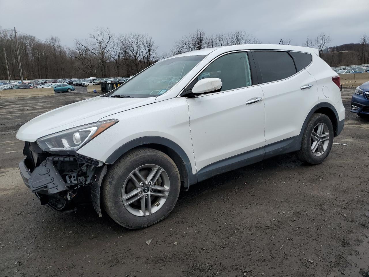 2018 Hyundai Santa Fe VIN 5NMZTDLBXJH104709