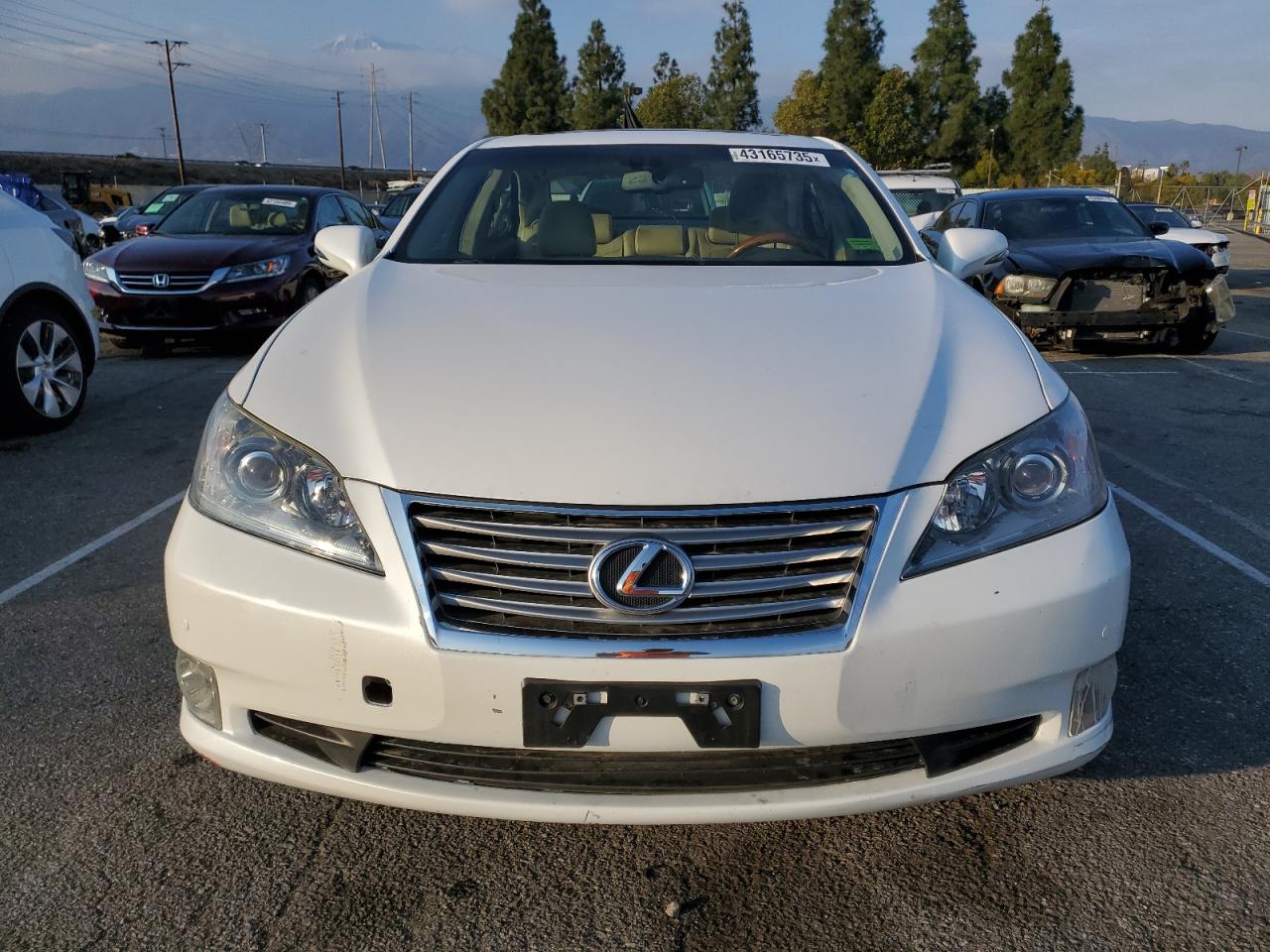 2010 Lexus ES VIN JTHBK1EG7A2362247 Copart auction photo, all over damage thumbnail 5