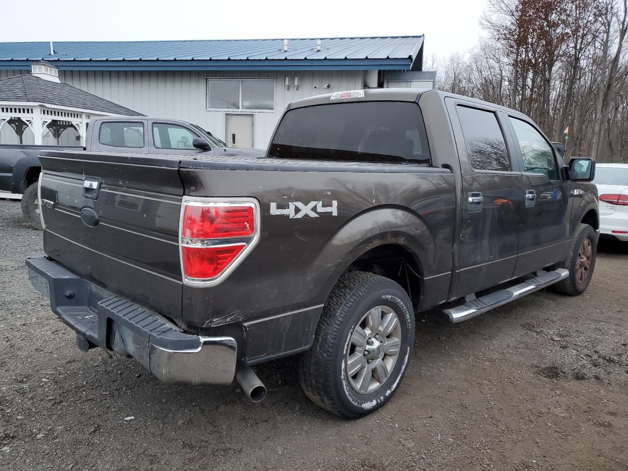 2009 Ford F-150 VIN 1FTRW14839KC60860 Copart auction photo, minor dent/scratches damage thumbnail 3