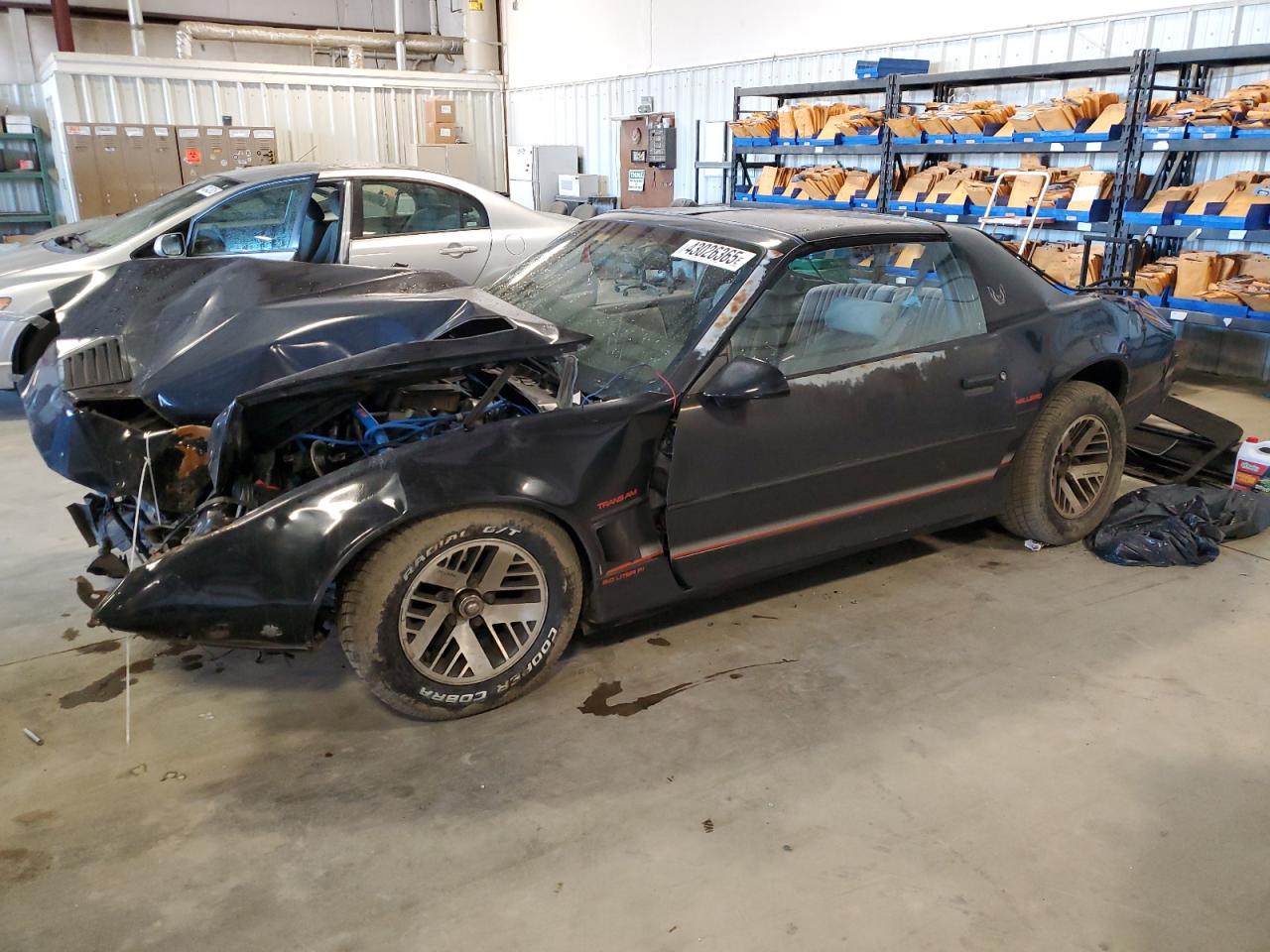 1986 Pontiac Firebird VIN 1G2FW87F1GL203798 - Copart auction photo