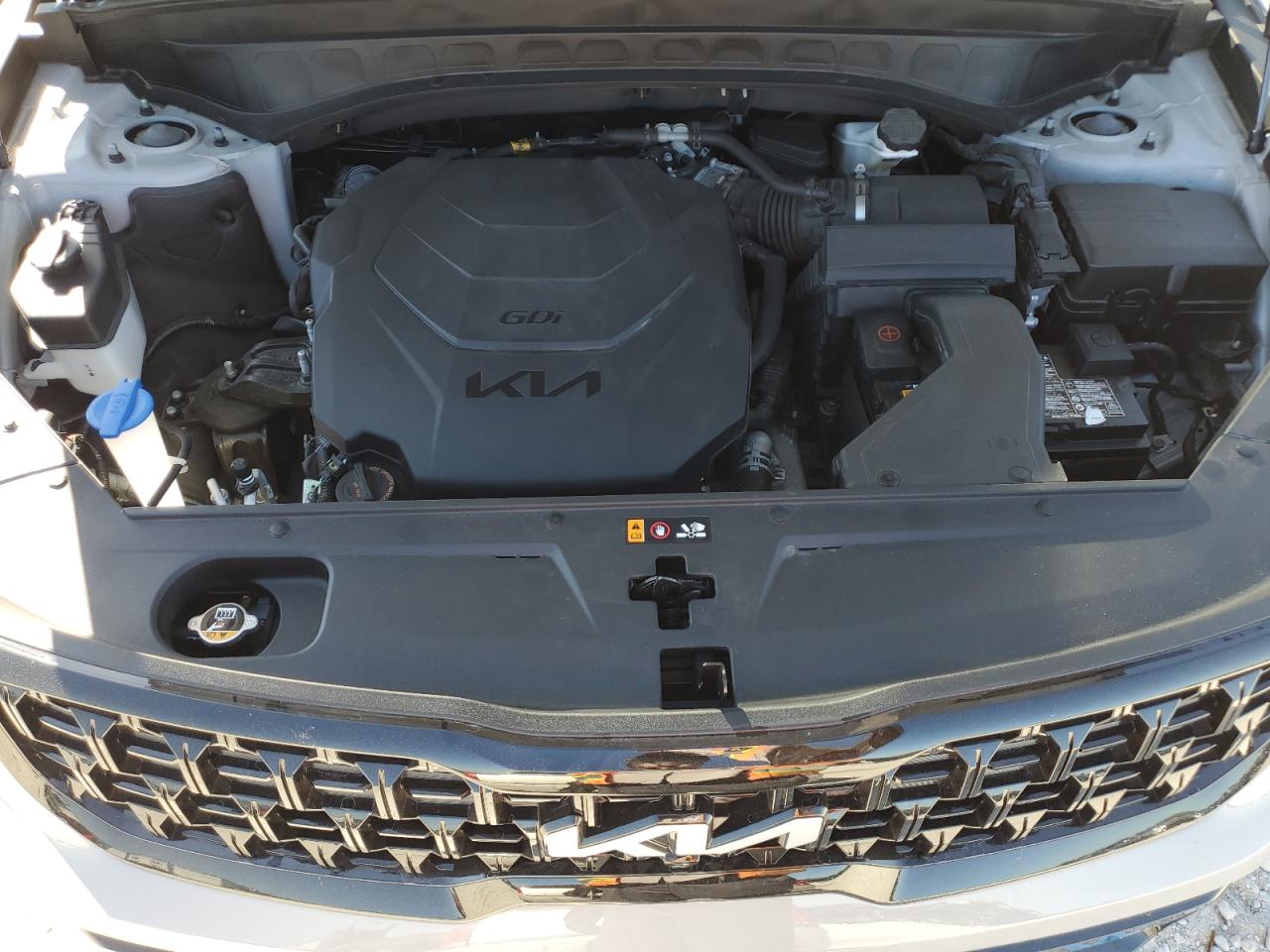 2024 KIA Telluride VIN 5XYP5DGC5RG429097 Copart auction photo, side damage thumbnail 12