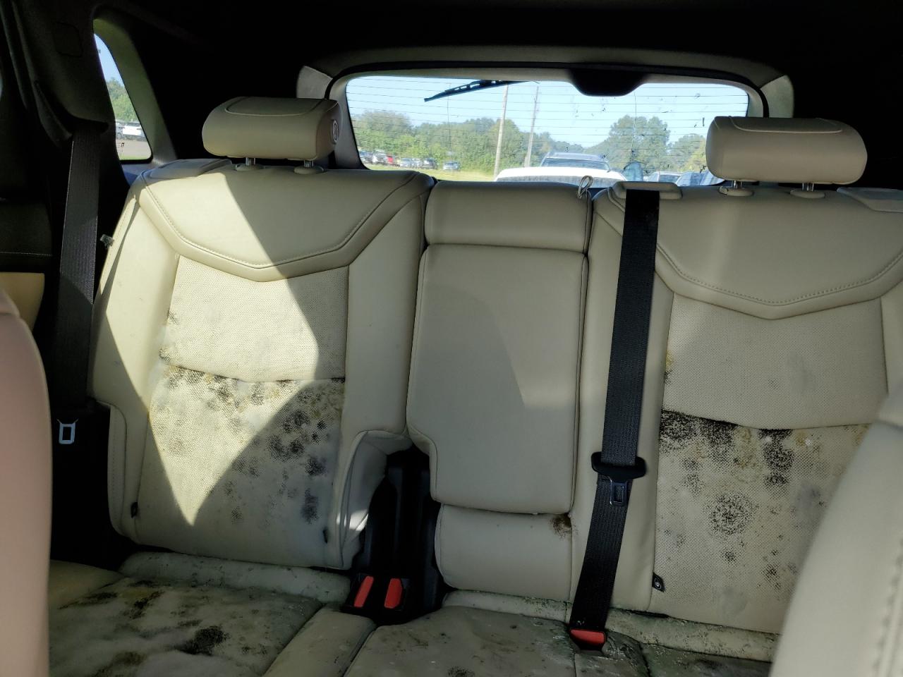 2019 Cadillac XT5 VIN 1GYKNCRS1KZ167685 Copart auction photo, water/flood damage thumbnail 10