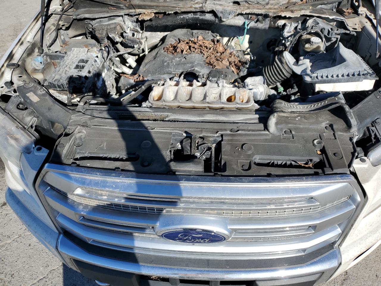 2015 Ford F-150 VIN 1FTEW1EG7FFD02777 Copart auction photo, mechanical damage thumbnail 11