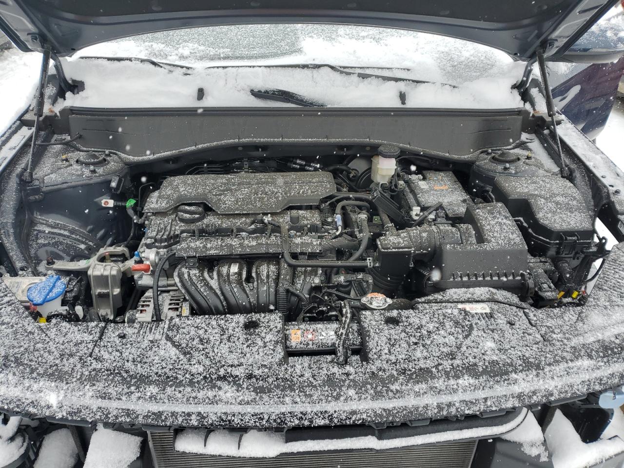 2024 Hyundai Kona VIN KM8HCCAB8RU109366 Copart auction photo, front end damage thumbnail 12