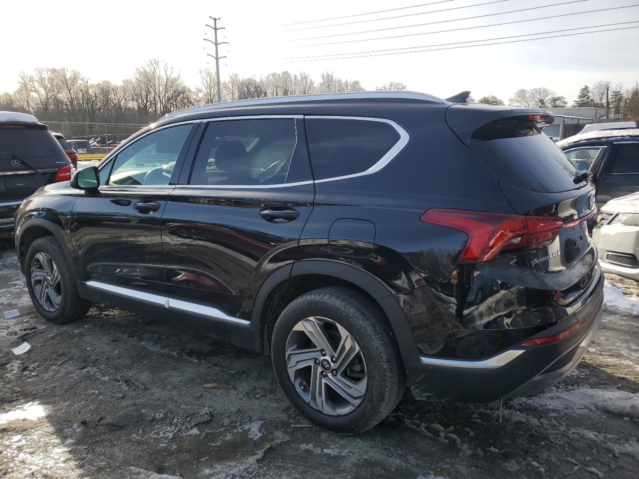 2021 Hyundai Santa Fe VIN 5NMS2DAJXMH348069 Copart auction photo, side damage thumbnail 2