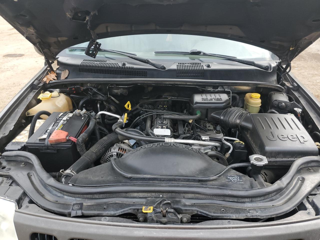 1999 Jeep Grand Cherokee VIN 1J4G268S3XC728805 Copart auction photo, side damage thumbnail 12