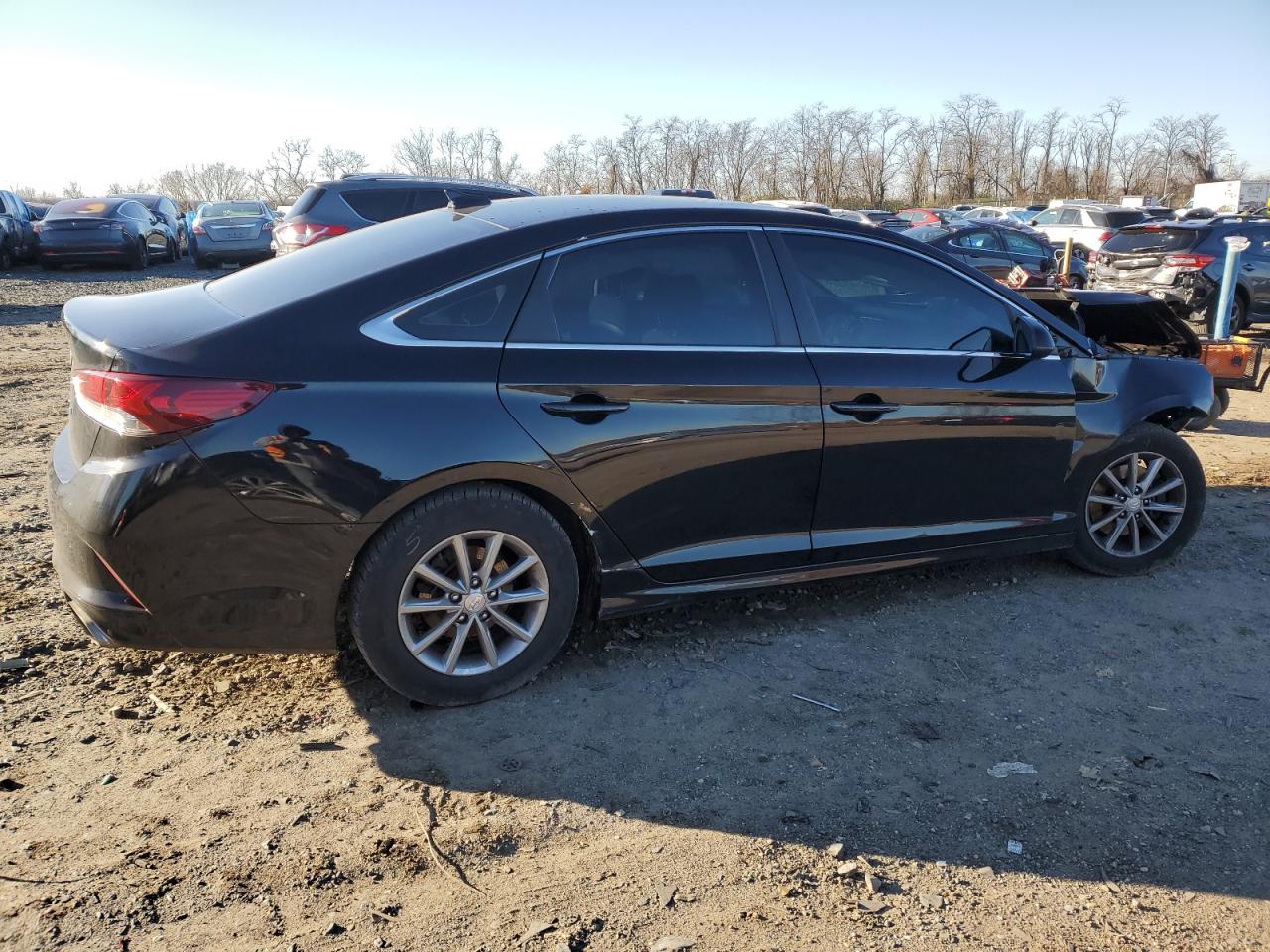 2019 Hyundai Sonata VIN 5NPE24AF2KH819527 Copart auction photo, all over / undercarriage damage thumbnail 3