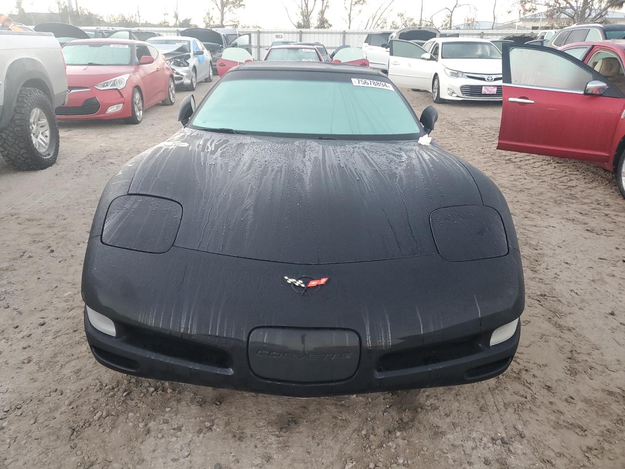 2004 Chevrolet Corvette VIN 1G1YY32G245123517 Copart auction photo, water/flood damage thumbnail 5