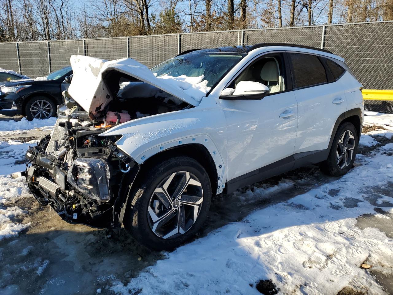 2024 Hyundai Tucson VIN KM8JCCD11RU217817