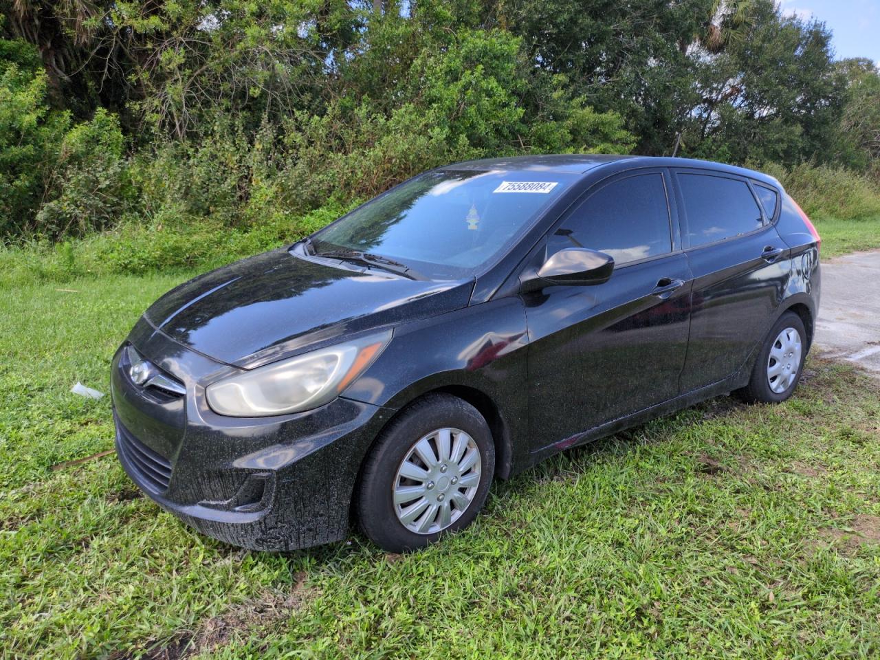 2013 Hyundai Accent VIN KMHCT5AEXDU059885