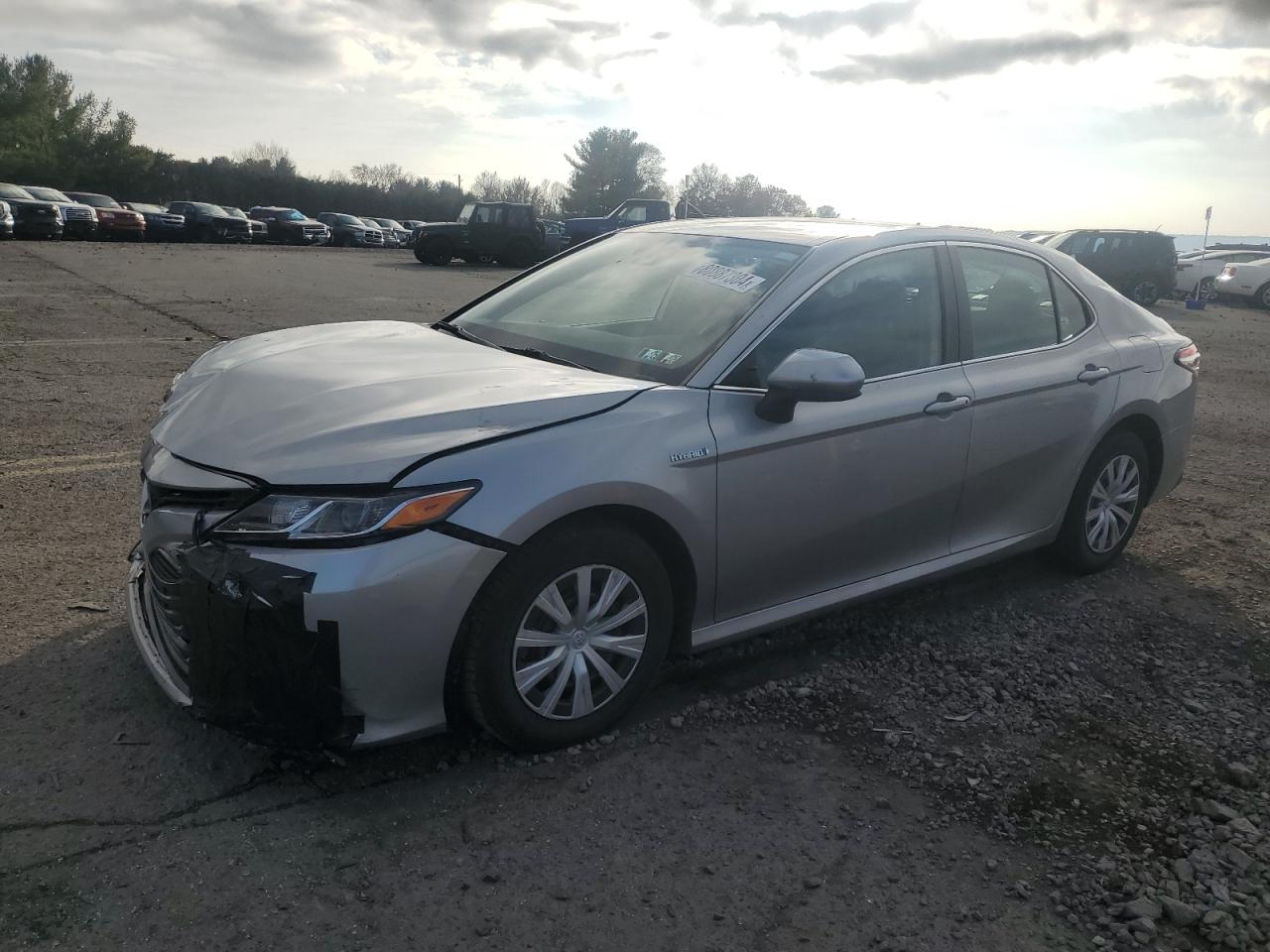 2019 Toyota Camry VIN 4T1B31HK4KU516431