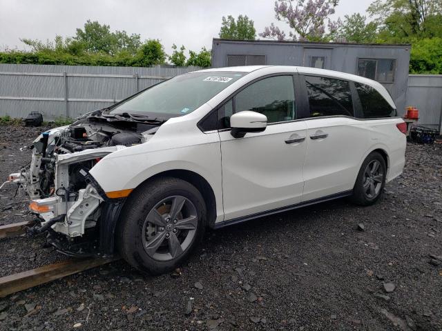 2021 Honda Odyssey VIN 5FNRL6H57MB014874