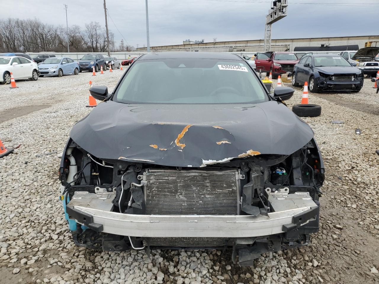 2020 Honda Civic VIN 2HGFC2F62LH508058 Copart auction photo, front end damage thumbnail 5