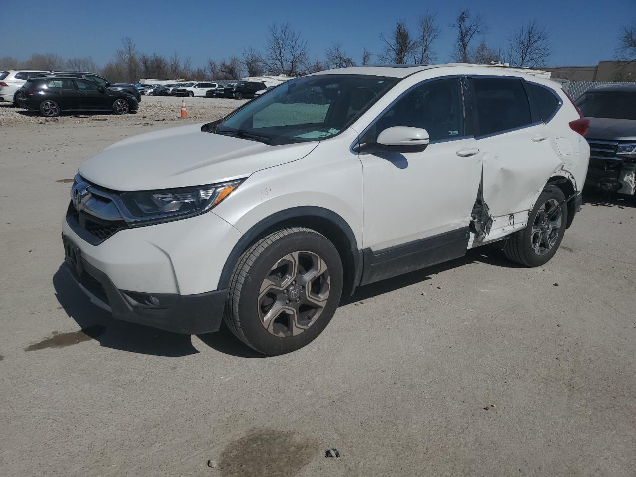 2019 Honda CR-V VIN 5J6RW2H86KL013374