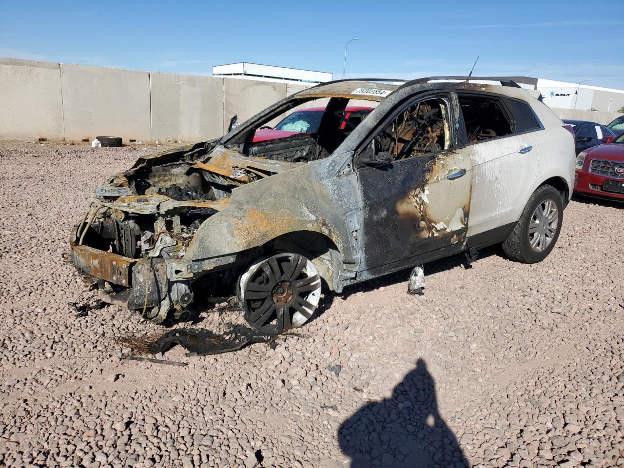 2010 Cadillac SRX VIN 3GYFNAEY3AS564133