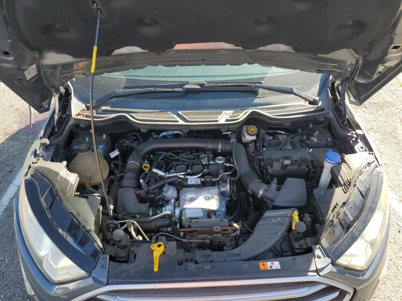2019 Ford EcoSport VIN MAJ3S2GE6KC273021 Copart auction photo, side damage thumbnail 12