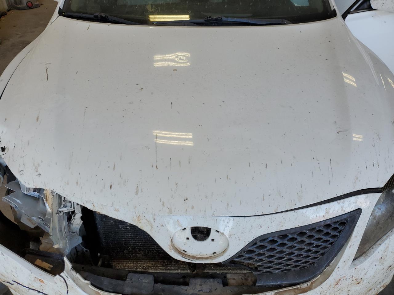 2010 Toyota Camry VIN 4T4BF3EK6AR019862 Copart auction photo, front end / hail damage thumbnail 11