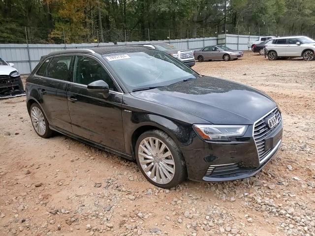 2017 Audi A3 VIN WAUTPBFF4HA129037 Copart auction photo, side damage thumbnail 10