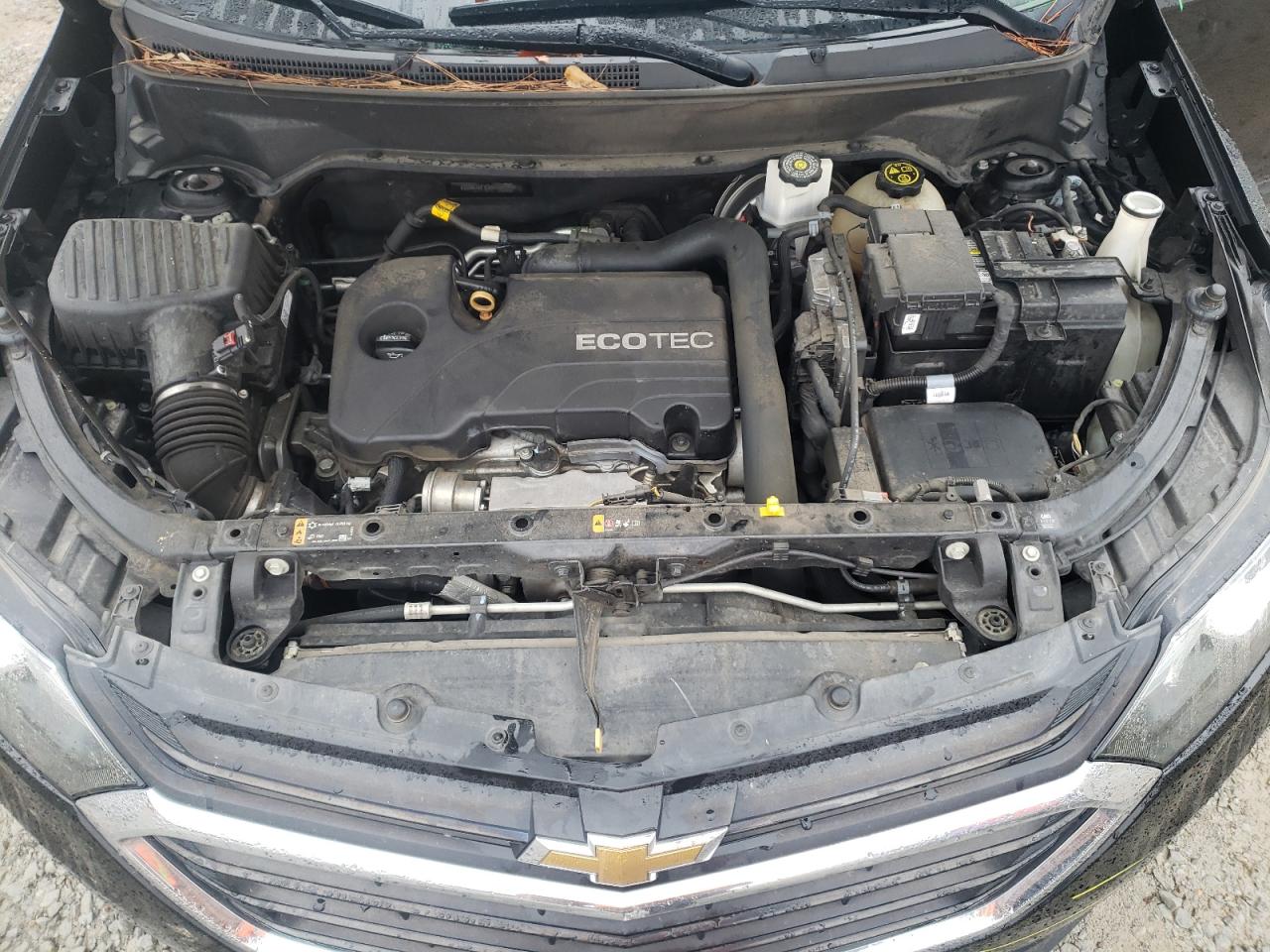 2019 Chevrolet Equinox VIN 2GNAXKEV0K6166990 Copart auction photo, all over damage thumbnail 12