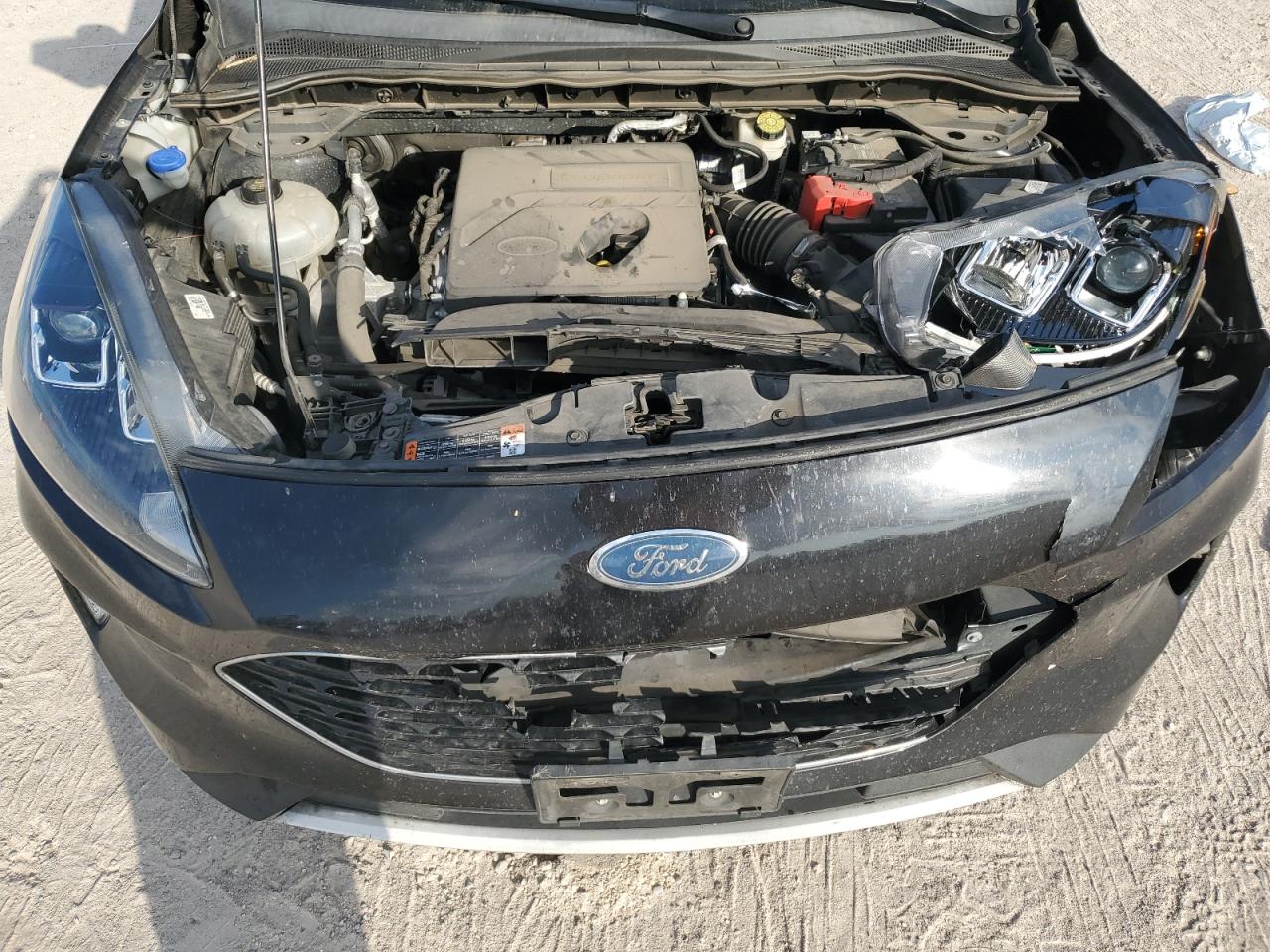 2020 Ford Escape VIN 1FMCU0H6XLUB01906 Copart auction photo, front end damage thumbnail 13
