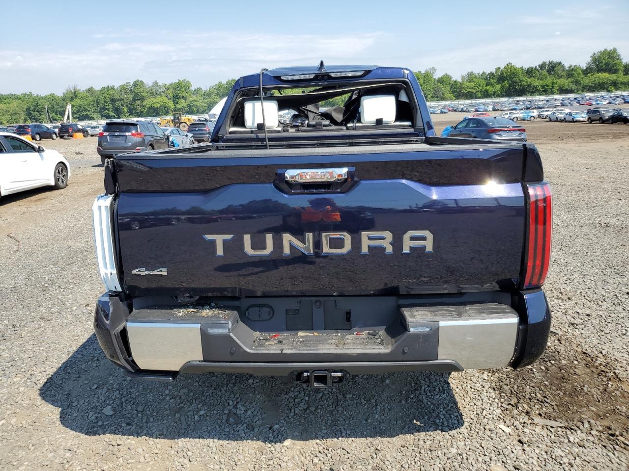 2023 Toyota Tundra VIN 5TFVC5DB9PX028516 Copart auction photo, all over damage thumbnail 6