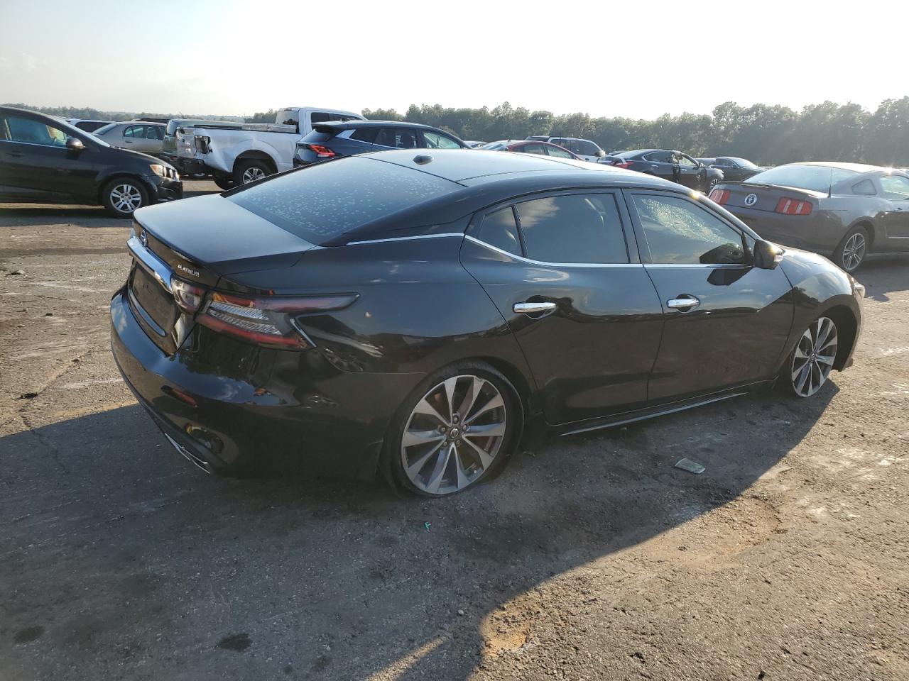 2019 Nissan Maxima VIN 1N4AA6AV8KC382848 Copart auction photo, front end damage thumbnail 3