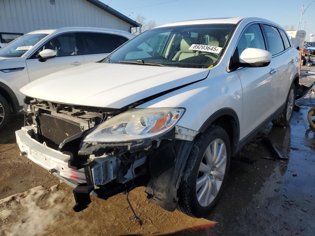 2010 Mazda CX-9 VIN JM3TB3MA0A0222719