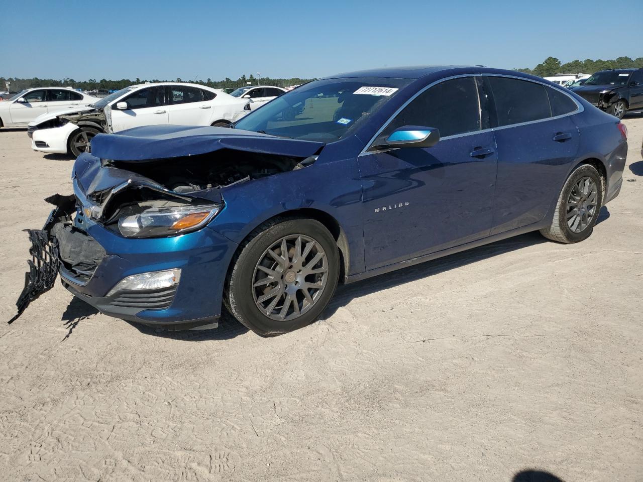 2019 Chevrolet Malibu VIN 1G1ZD5ST5KF150274