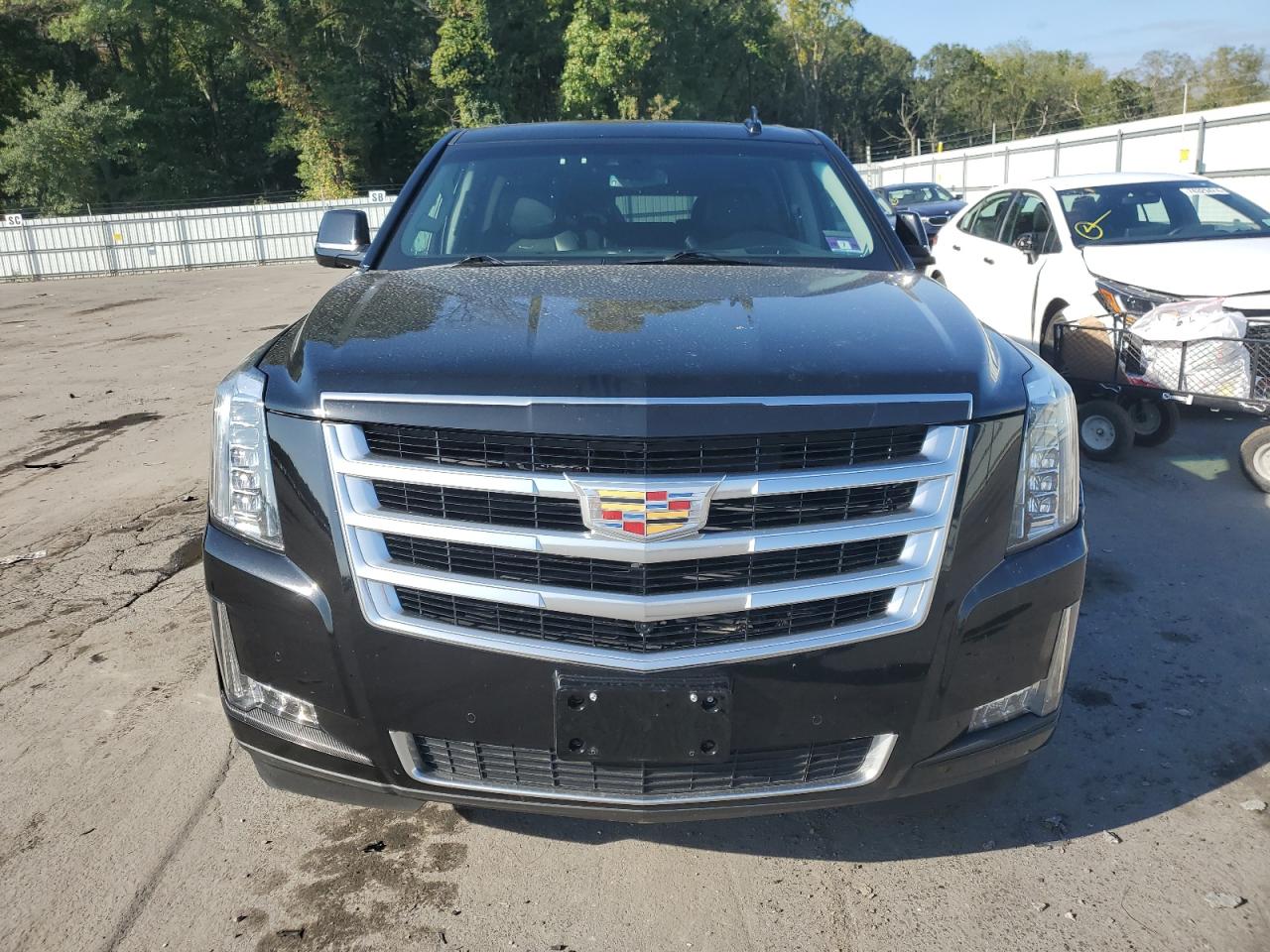 2019 Cadillac Escalade VIN 1GYS4HKJ9KR112113 Copart auction photo, undercarriage / side damage thumbnail 5