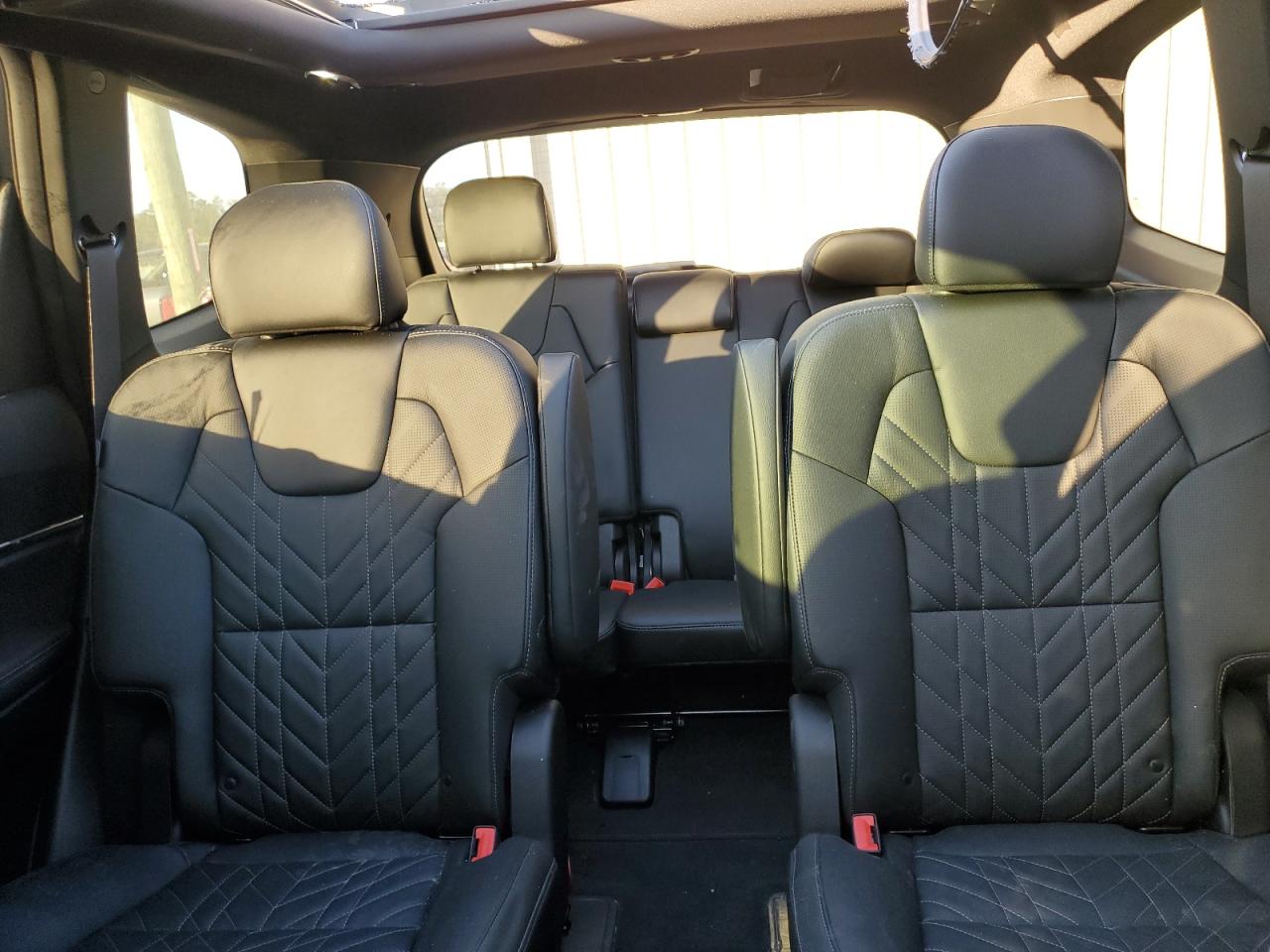 2024 KIA Telluride VIN 5XYP5DGC9RG483552 Copart auction photo, top/roof damage thumbnail 10