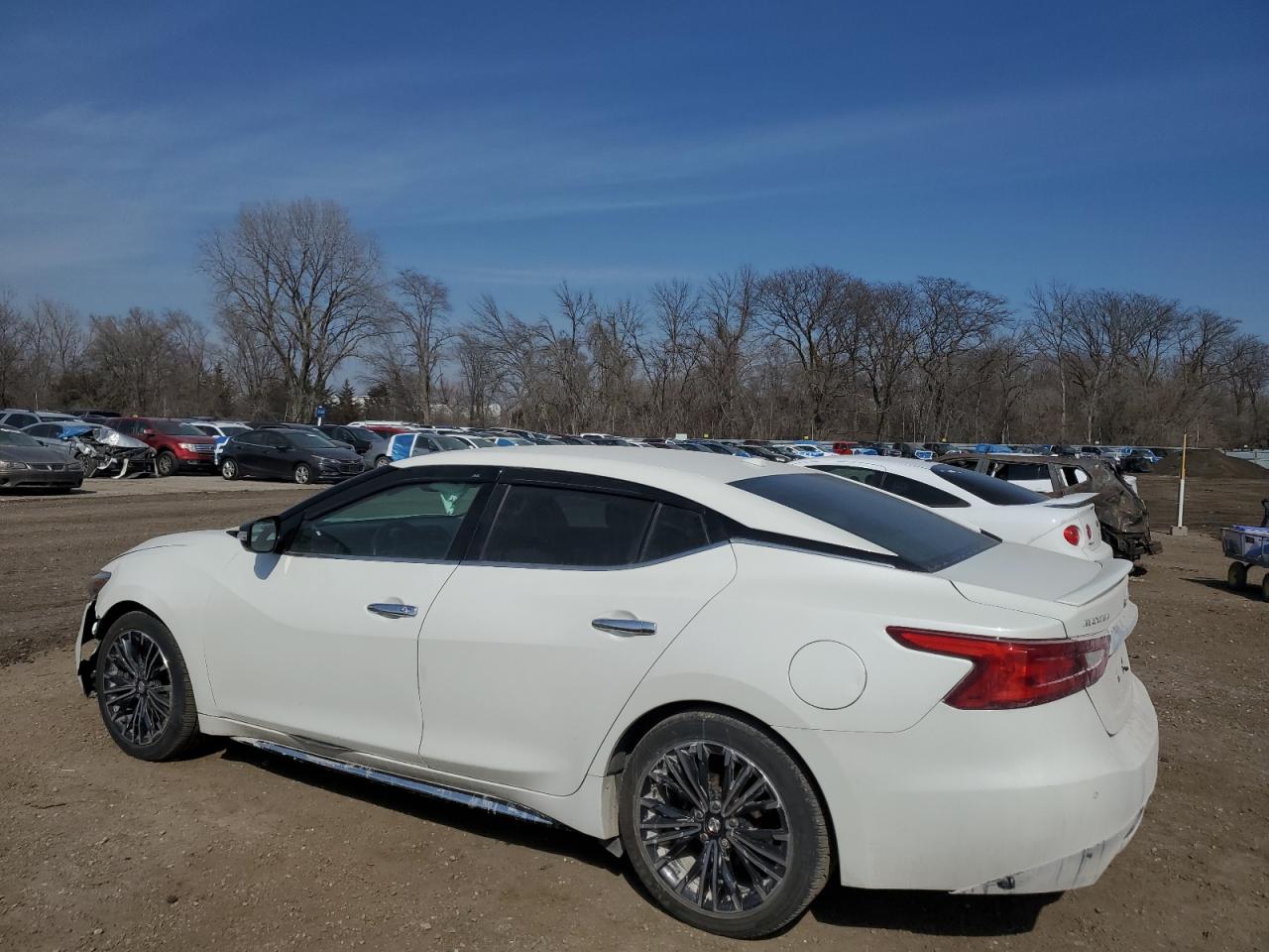 2017 Nissan Maxima VIN 1N4AA6AP6HC409555 Copart auction photo, front end damage thumbnail 2
