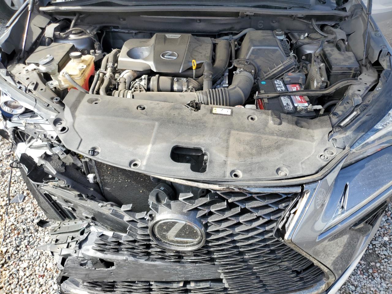 2020 Lexus NX VIN JTJSARBZ4L5017541 Copart auction photo, front end / minor dent/scratches damage thumbnail 14
