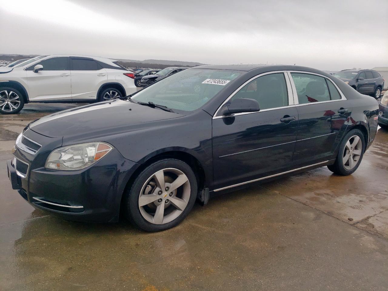 2011 Chevrolet Malibu VIN 1G1ZC5E13BF197445