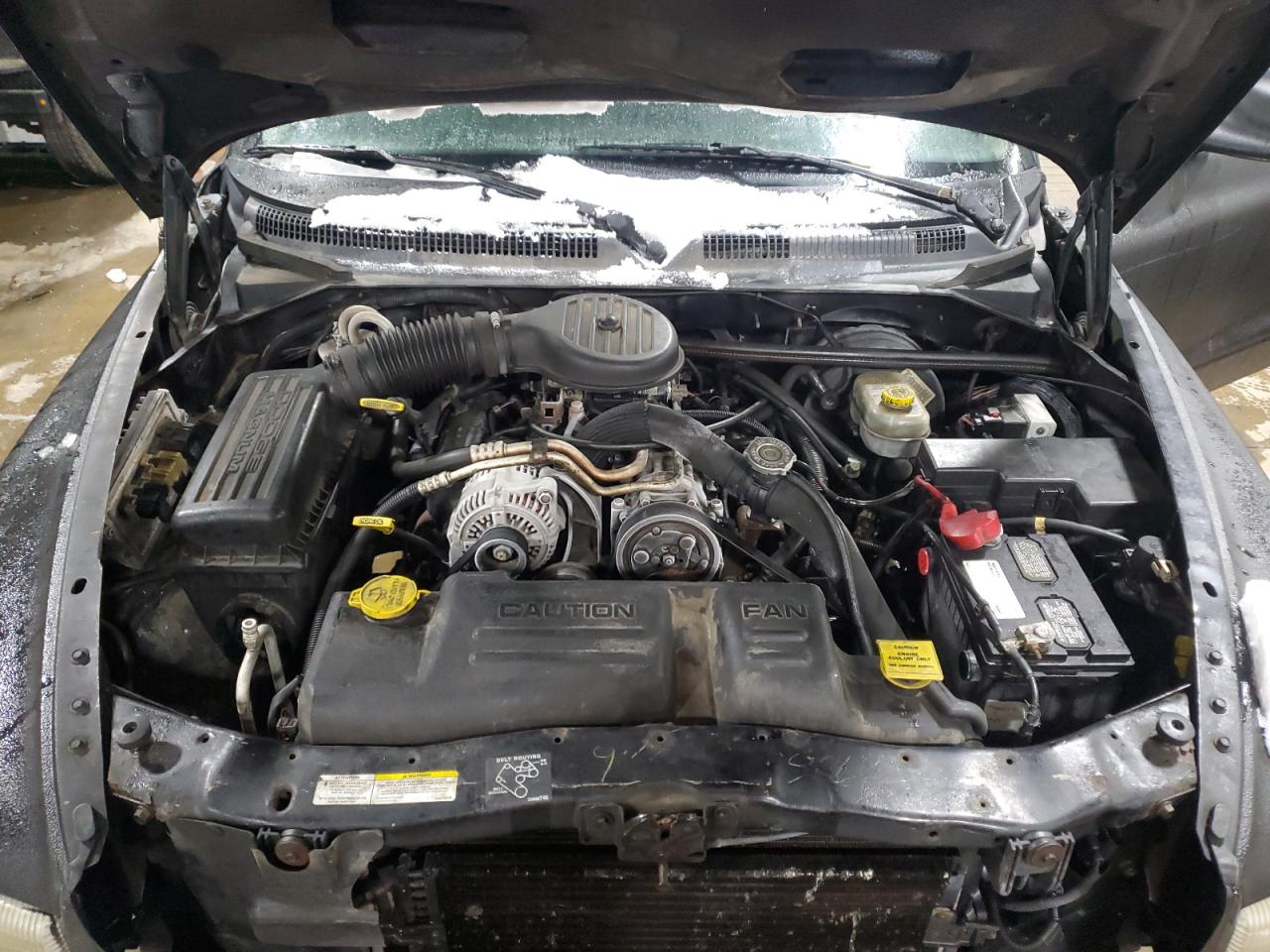 2002 Dodge Dakota VIN 1B7FL16X32S557570 Copart auction photo, undercarriage damage thumbnail 11