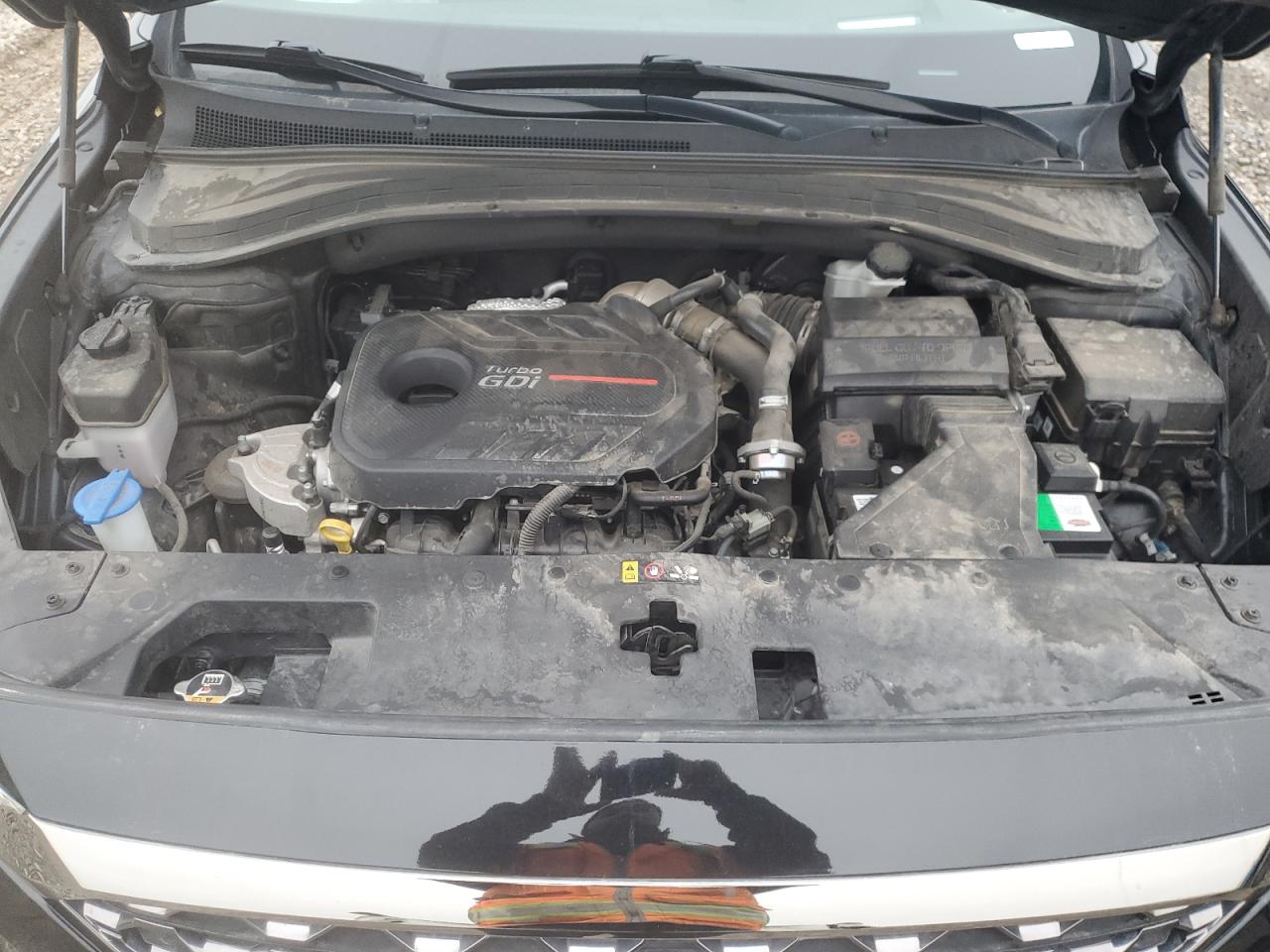 2020 Hyundai Santa Fe VIN 5NMS5CAA8LH304586 Copart auction photo, side damage thumbnail 13