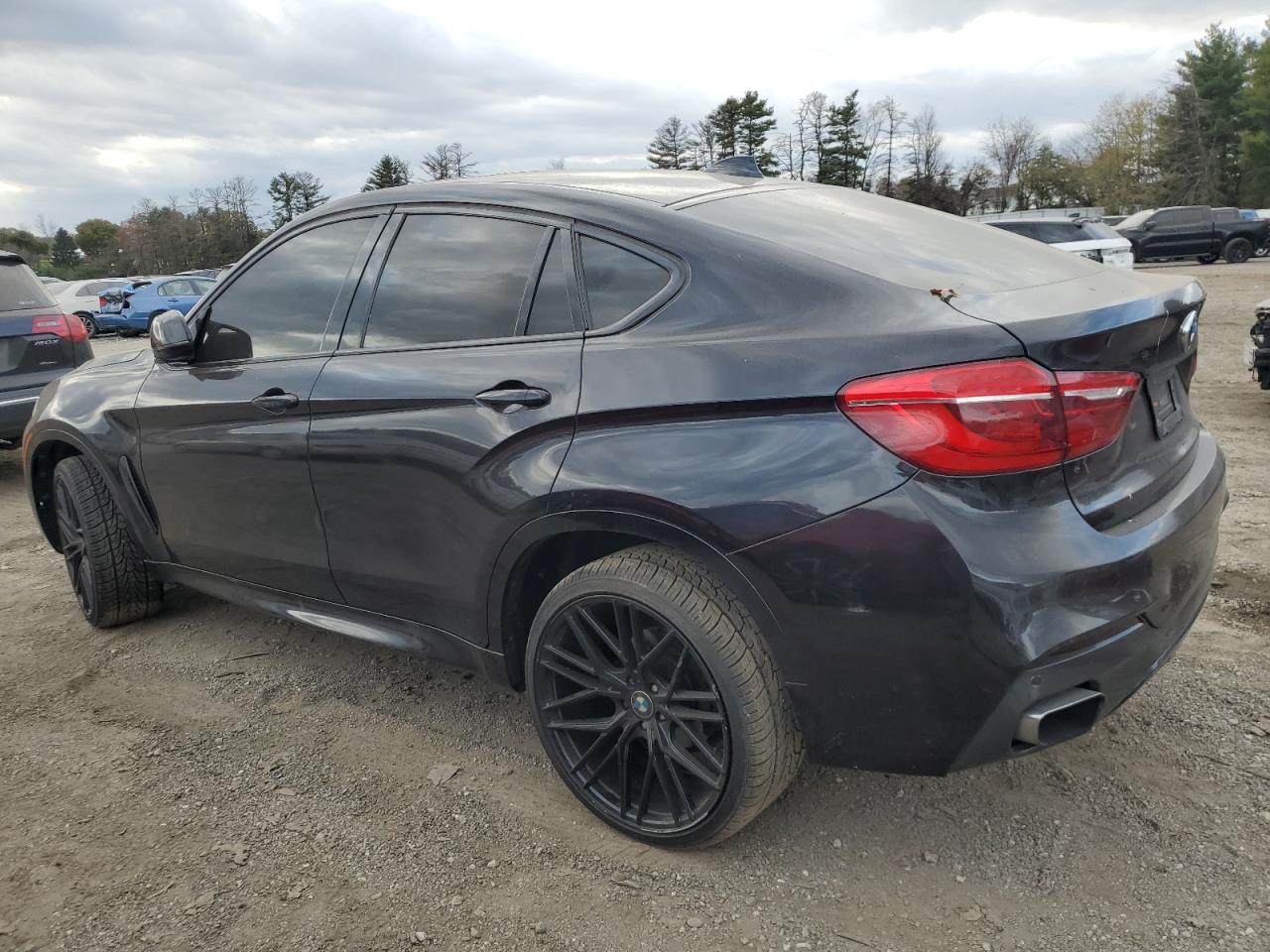 2016 BMW X6 VIN 5UXKU2C58G0N80770 Copart auction photo, minor dent/scratches damage thumbnail 2