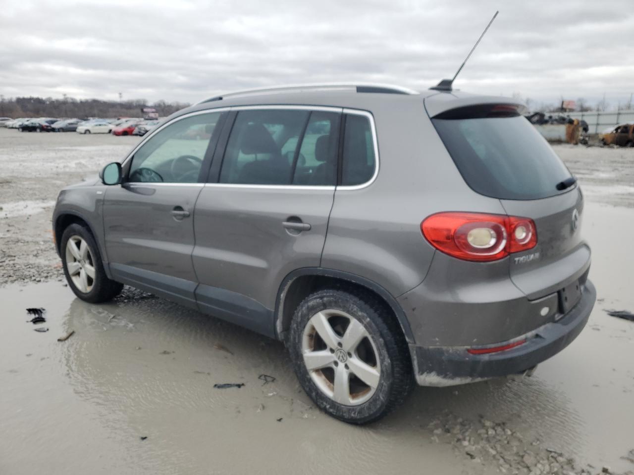 2010 Volkswagen Tiguan VIN WVGAV7AX9AW520377 Copart auction photo, side damage thumbnail 2