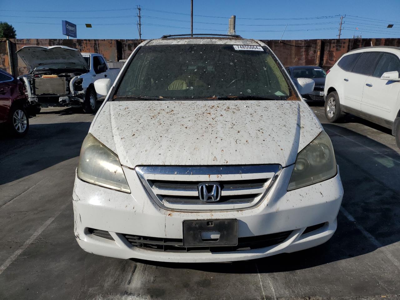 2006 Honda Odyssey VIN 5FNRL38786B029242 Copart auction photo, mechanical / minor dent/scratches damage thumbnail 5